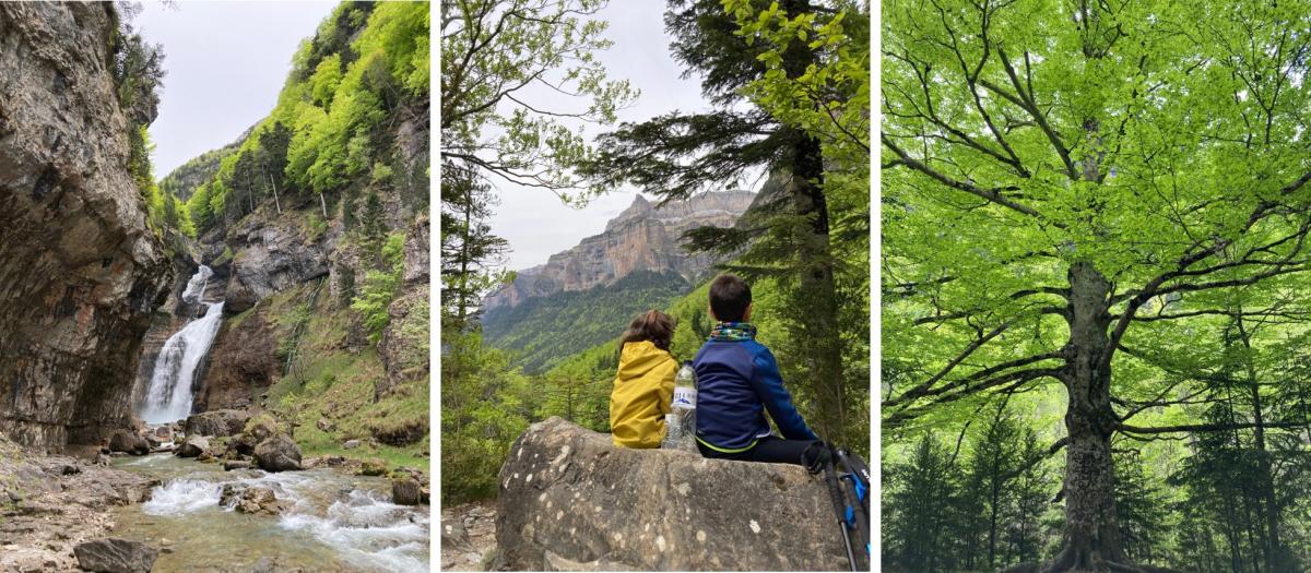 Parque Natural Ordesa y Monte Perdido_cascada estrecho_niños_arbol