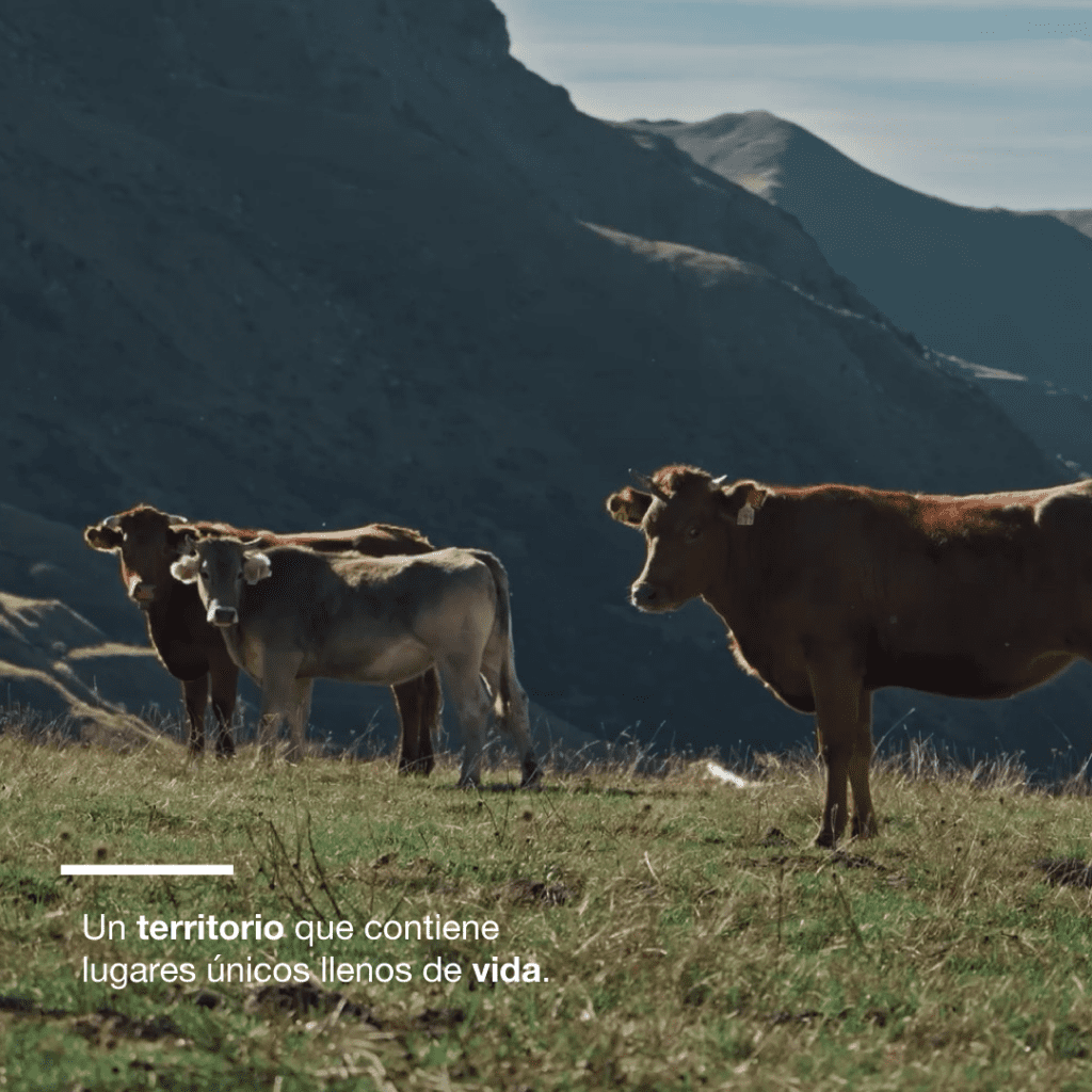 Contenemos naturaleza_teaser Novapet_2.1