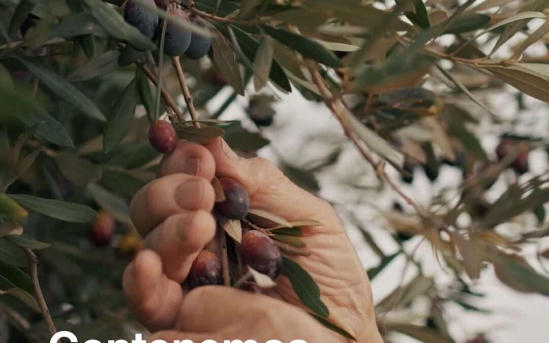 Contenemos tradición